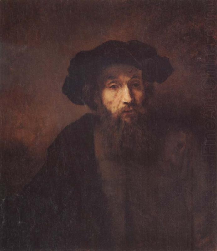 REMBRANDT Harmenszoon van Rijn A Bearded Man in a Cap china oil painting image